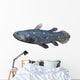 Coelacanth Fish against White Wall Decal