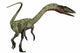 Coelophysis Dinosaur Wall Decal