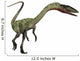 Coelophysis Dinosaur Wall Decal