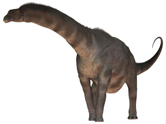 Argentinosaurus Dinosaur Wall Decal Design 2
