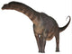 Argentinosaurus Dinosaur Wall Decal Design 2