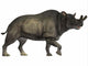 Brontotherium Is Rhinoceros-like Mammal Wall Decal