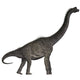 Brachiosaurus Dinosaur Wall Decal Design 3