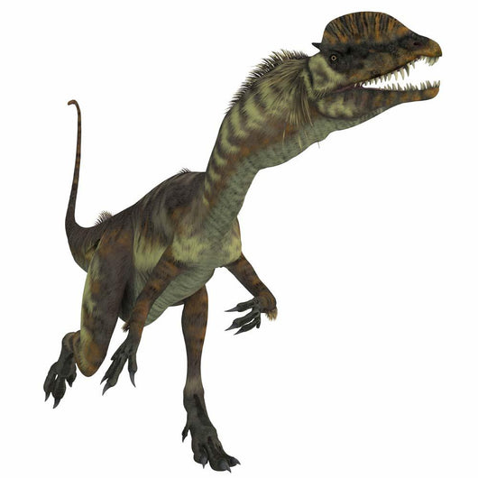 Dilophosaurus Dinosaur Wall Decal Design 2