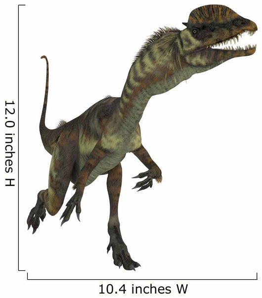 Dilophosaurus Dinosaur Wall Decal Design 2
