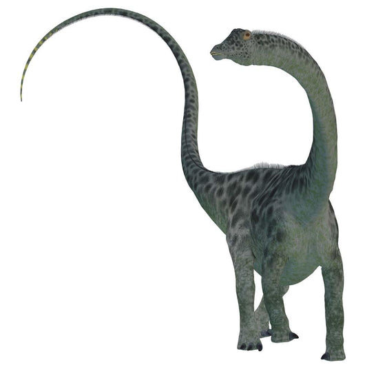 Diplodocus Dinosaur Wall Decal Design 4