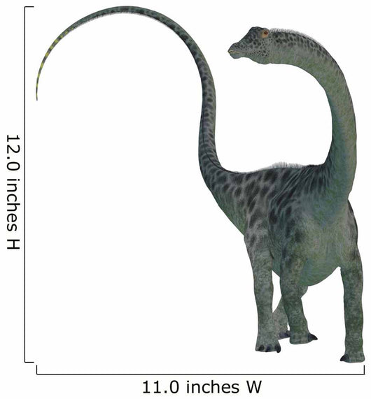 Diplodocus Dinosaur Wall Decal Design 4