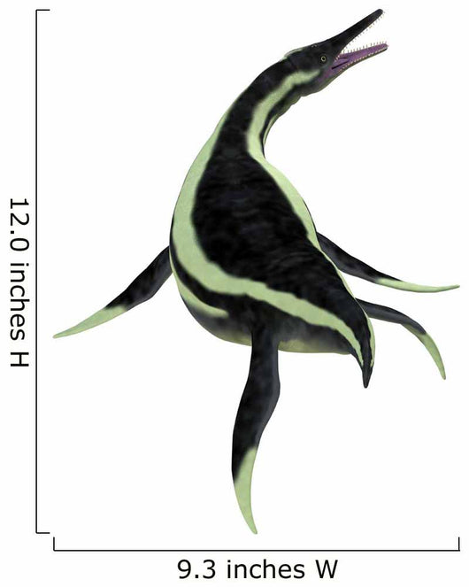 Dolichorhynchops Marine Reptile Wall Decal