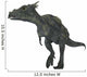 Dracorex Dinosaur Wall Decal