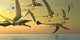 Flock Eudimorphodon Flying Reptiles Wall Decal