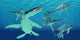 Pod Eurhinosaurus Marine Reptiles Wall Decal