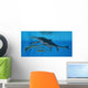 Shonisaurus Hunting Cymbospondylus Triassic Wall Decal