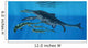 Shonisaurus Hunting Cymbospondylus Triassic Wall Decal