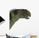 Camarasaurus Dinosaur Head Wall Decal