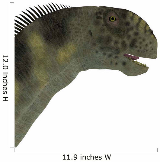 Camarasaurus Dinosaur Head Wall Decal