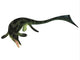 Cymbospondylus Ichthyosaur from Triassic Wall Decal