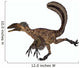 Deinonychus Dinosaur Wall Decal