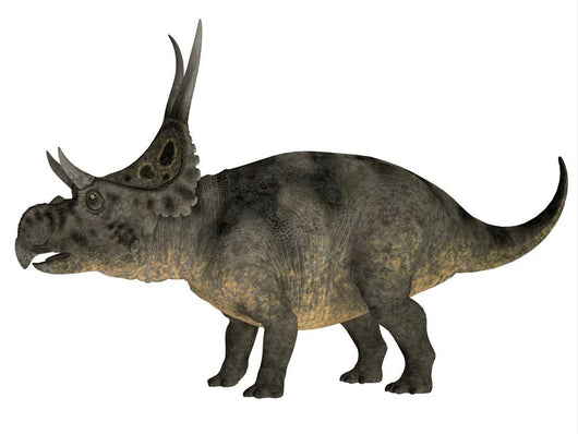 Diabloceratops Dinosaur Wall Decal Design 2