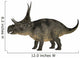 Diabloceratops Dinosaur Wall Decal Design 2