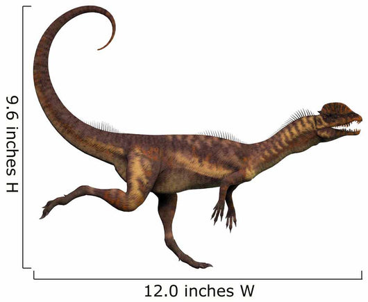 Dilophosaurus Dinosaur Wall Decal Design 1
