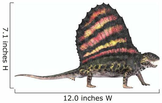 Dimetrodon Reptile from Permian Wall Decal