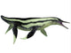 Dolichorhynchops Marine Reptile from Wall Decal
