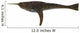 Doryaspis Jawless Fish from Wall Decal