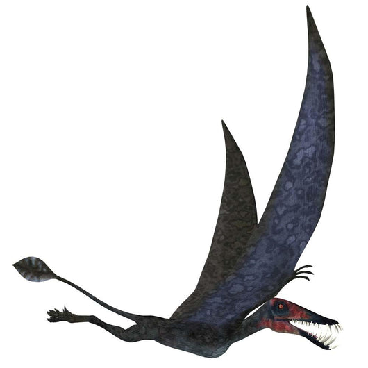 Dorygnathus Pterosaur from Jurassic Wall Decal