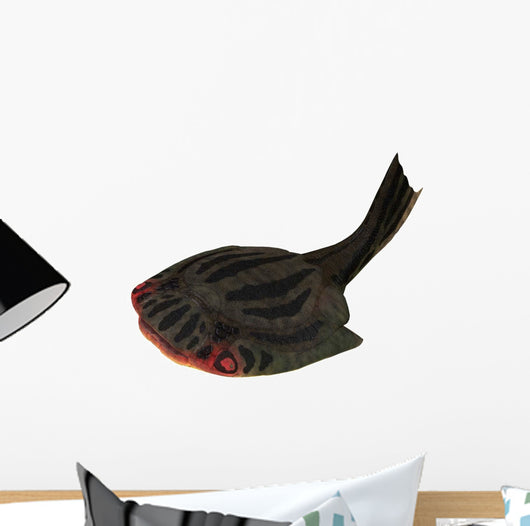 Drepanaspis Jawless Fish from Wall Decal