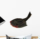 Drepanaspis Jawless Fish from Wall Decal