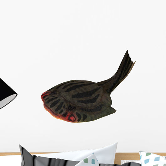 Drepanaspis Jawless Fish from Wall Decal