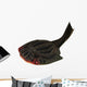 Drepanaspis Jawless Fish from Wall Decal