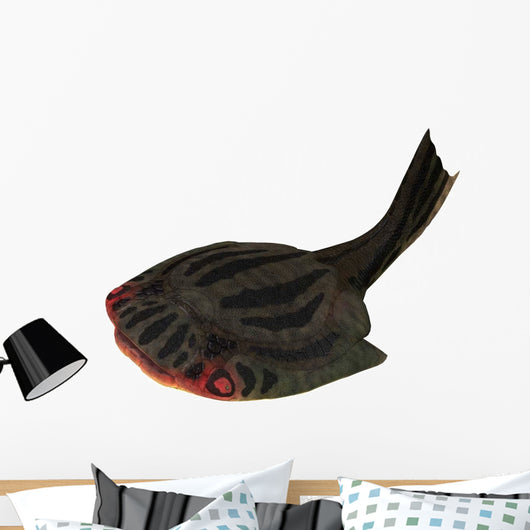 Drepanaspis Jawless Fish from Wall Decal