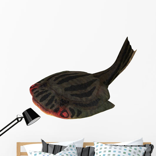 Drepanaspis Jawless Fish from Wall Decal
