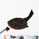 Drepanaspis Jawless Fish from Wall Decal