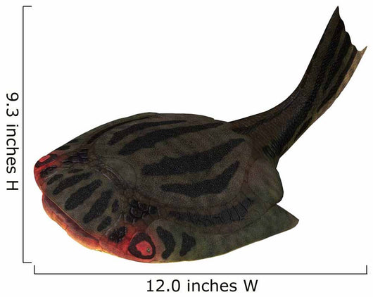 Drepanaspis Jawless Fish from Wall Decal