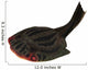 Drepanaspis Jawless Fish from Wall Decal