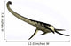 Elasmosaurus Marine Reptile from Wall Decal