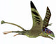 Peteinosaurus Pterosaur from Triassic Wall Decal