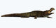 Sarcosuchus Crocodyliform from Prehistoric Wall Decal Design 2