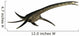 Styxosaurus Marine Reptile from Wall Decal