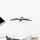 Zhenyuanopterus Pterosaur from Cretaceous Wall Decal Design 2