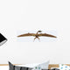 Zhenyuanopterus Pterosaur from Cretaceous Wall Decal Design 2
