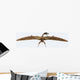 Zhenyuanopterus Pterosaur from Cretaceous Wall Decal Design 2
