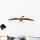 Zhenyuanopterus Pterosaur from Cretaceous Wall Decal Design 2