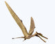 Zhenyuanopterus Pterosaur from Cretaceous Wall Decal Design 1