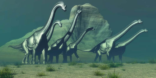 Herd Brachiosaurus Dinosaurs Pass Wall Decal
