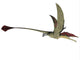 Eudimorphodon Is Flying Reptile Wall Decal