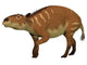 Eurohippus Is Ancestor Horse Wall Decal