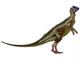 Hypsilophodon Is Omnivorous Dinosaur Wall Decal